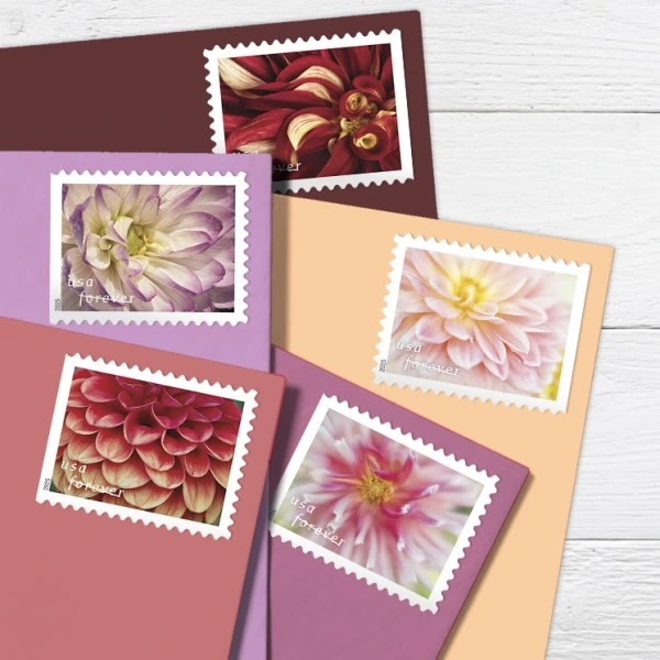 2025 Dahlias Stamps Book of 20 - Image 2