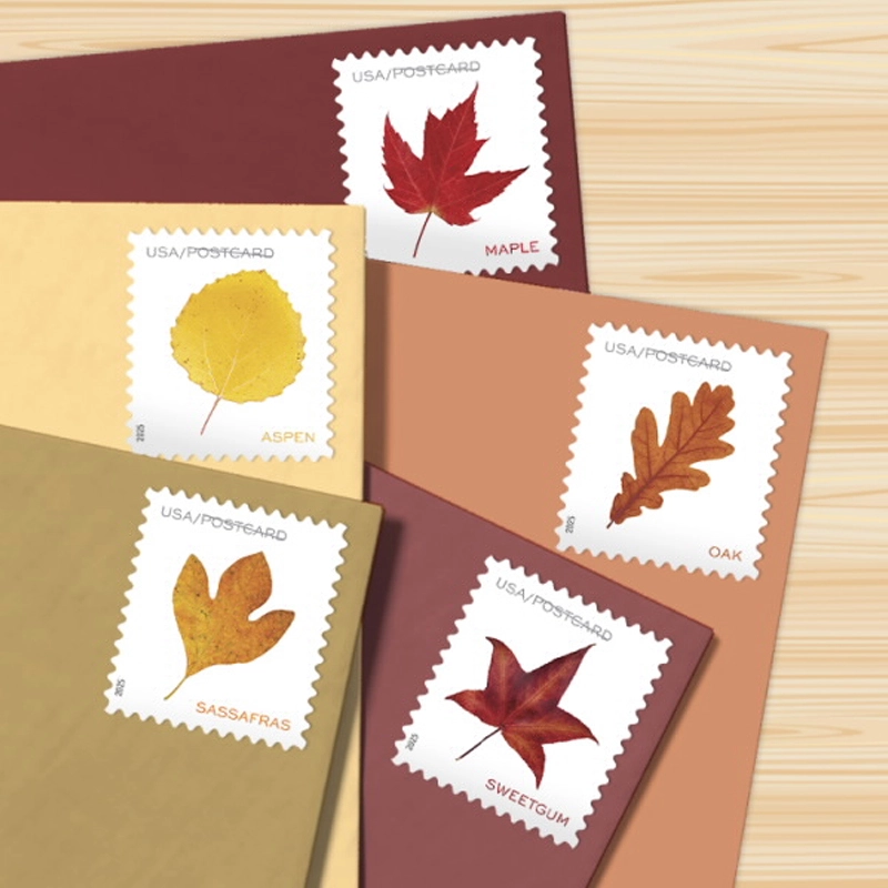 2025 Vibrant Leaves Postcard Stamps, Sheetof 20 Postcard |Multiple Stamp Designs and Formats - Image 8