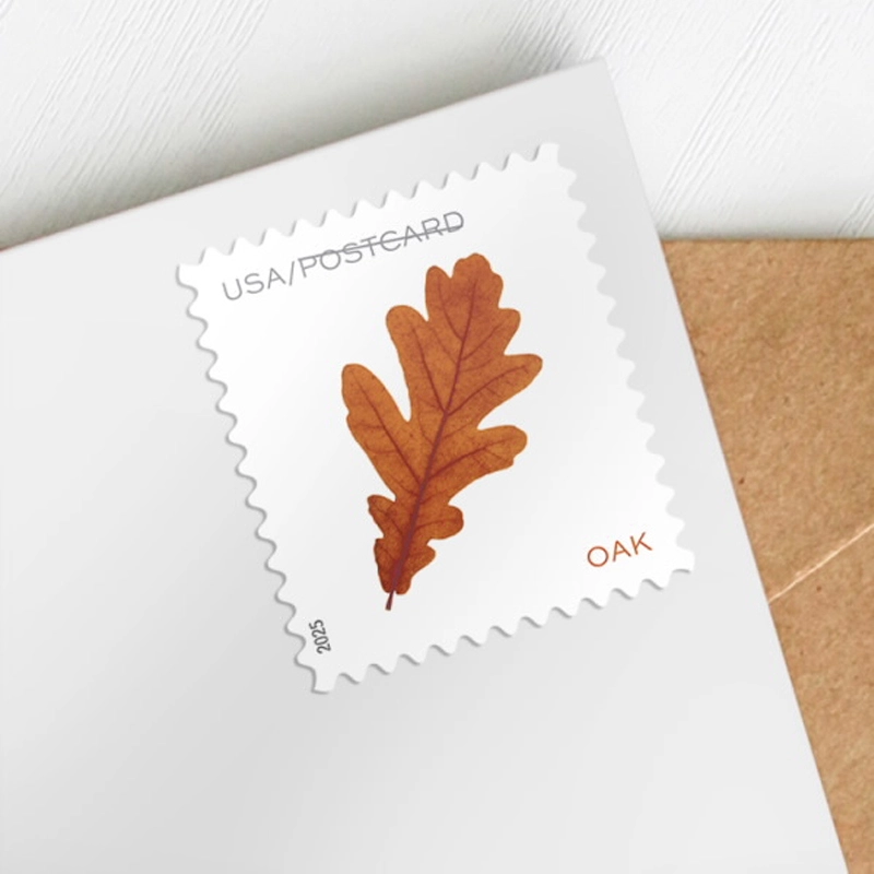 2025 Vibrant Leaves Postcard Stamps, Sheetof 20 Postcard |Multiple Stamp Designs and Formats - Image 7