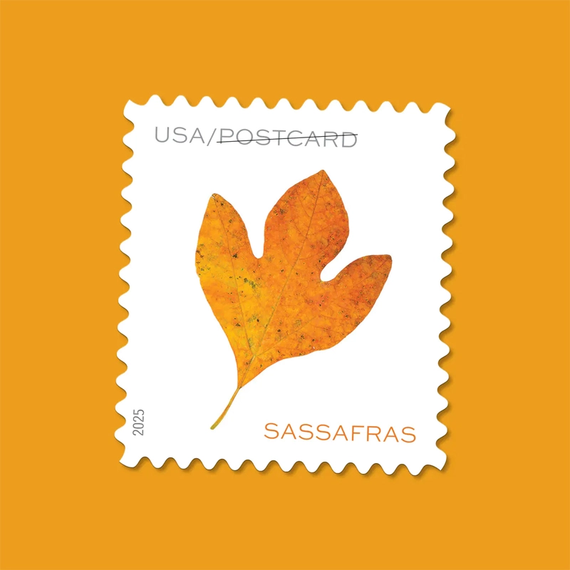 2025 Vibrant Leaves Postcard Stamps, Sheetof 20 Postcard |Multiple Stamp Designs and Formats - Image 2