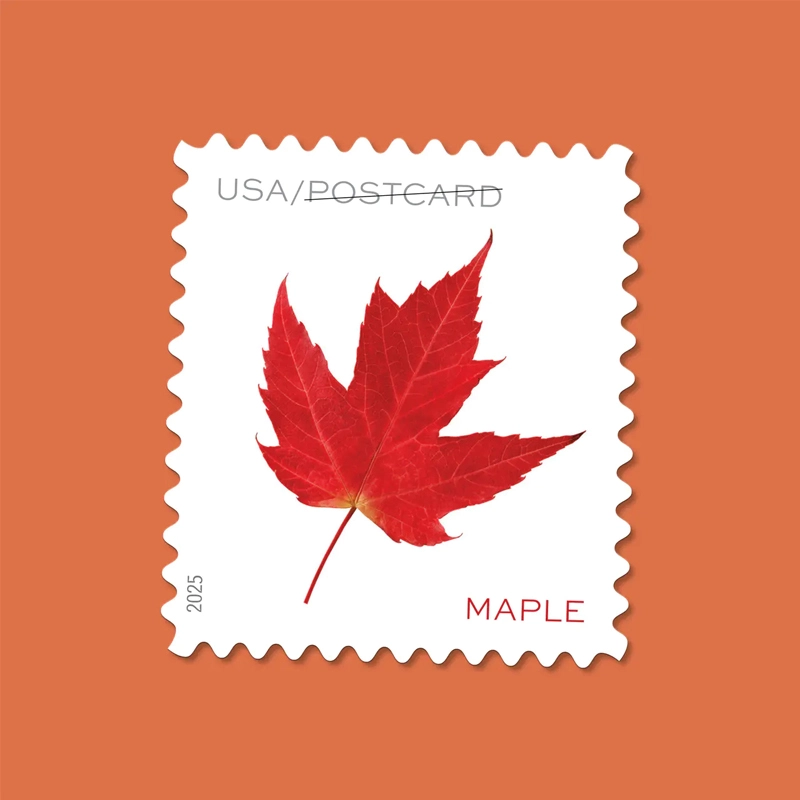 2025 Vibrant Leaves Postcard Stamps, Sheetof 20 Postcard |Multiple Stamp Designs and Formats - Image 4
