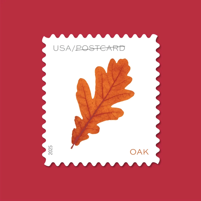 2025 Vibrant Leaves Postcard Stamps, Sheetof 20 Postcard |Multiple Stamp Designs and Formats - Image 6