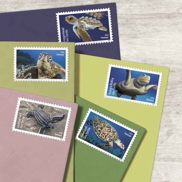 2024 Protect Sea Turtles Stamps - Image 3