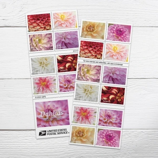 2025 Dahlias Stamps Book of 20 - Image 3