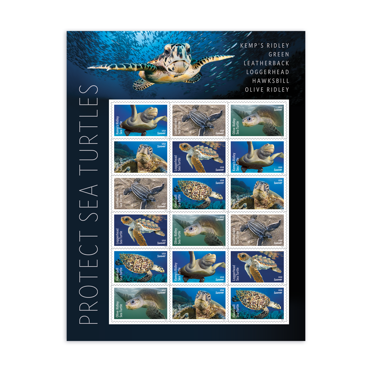 2024 Protect Sea Turtles Stamps - Image 4