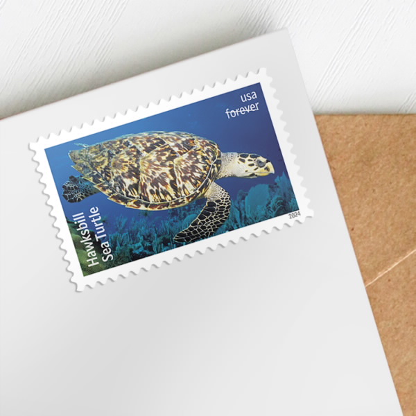 2024 Protect Sea Turtles Stamps - Image 2