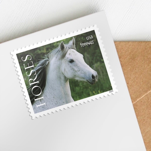 2024 Horses Stamps forever stamps - Image 3