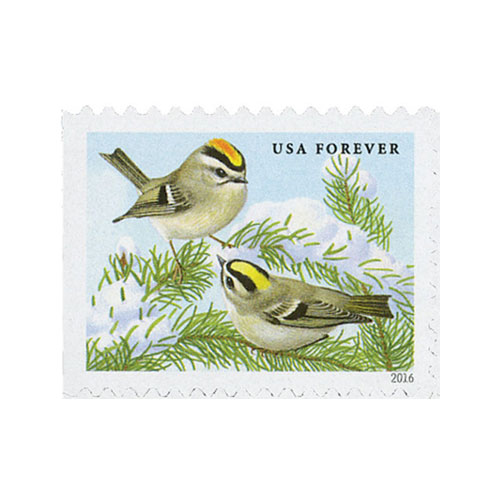 2016 USPS Songbirds in Snow Forever First Class Postage Stamps - Image 3