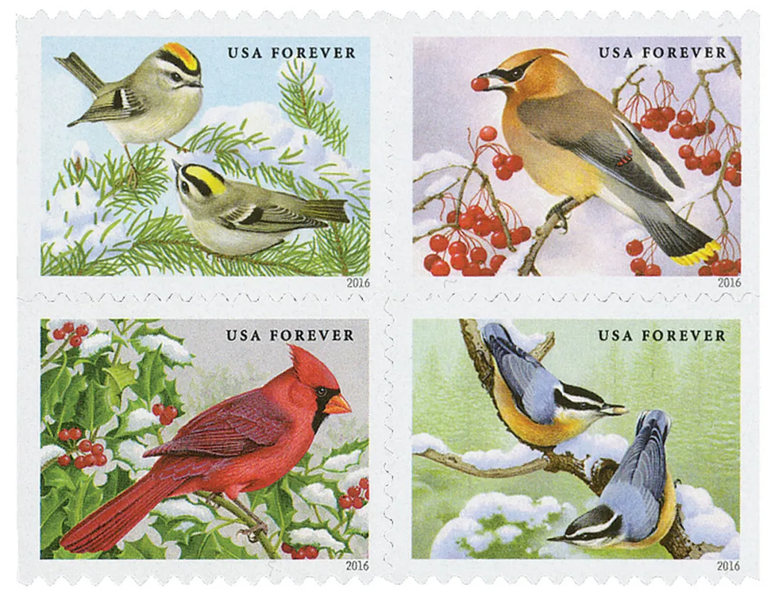 2016 USPS Songbirds in Snow Forever First Class Postage Stamps - Image 2