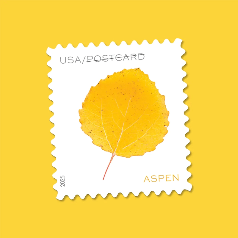 2025 Vibrant Leaves Postcard Stamps, Sheetof 20 Postcard |Multiple Stamp Designs and Formats - Image 3