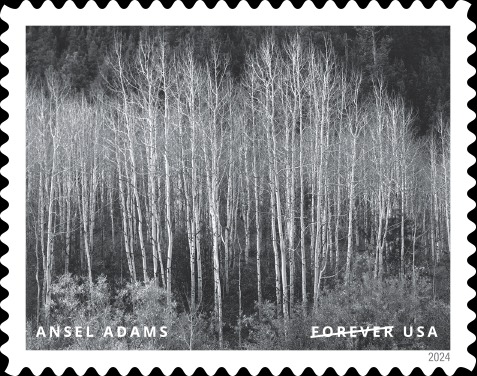 2024 us forever stamps-Ansel Adams - Image 4