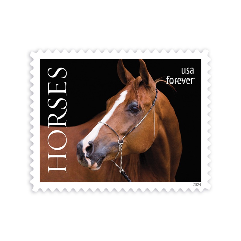 2024 Horses Stamps forever stamps - Image 2