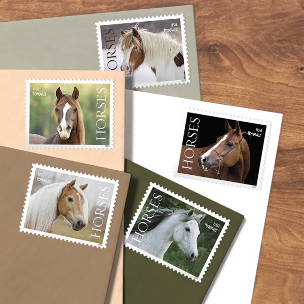 2024 Horses Stamps forever stamps - Image 4